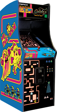 Ms Pacman & Galaga Pacman Class of 1981 Reunion New